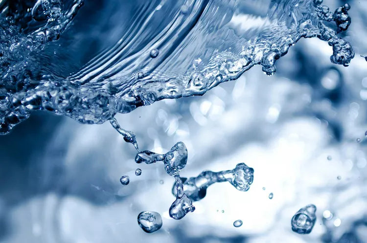 The Importance of Water: An Essential Resource